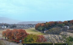 丘の上から