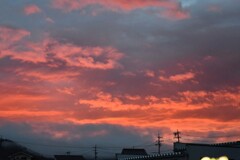 morning glow