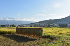 始まりました