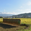 始まりました