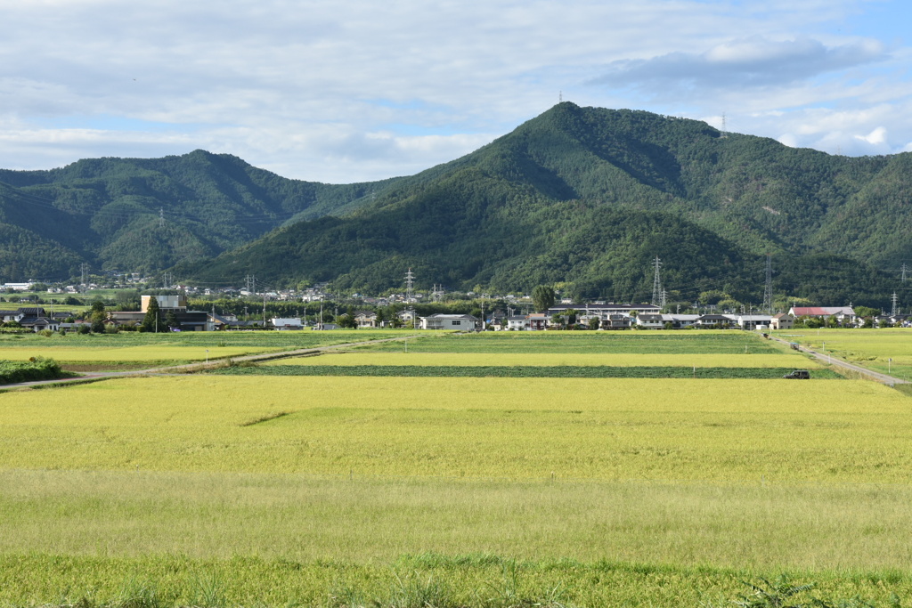九月の田園風景