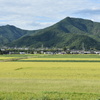 九月の田園風景