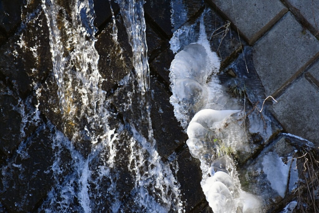 飛沫が凍って