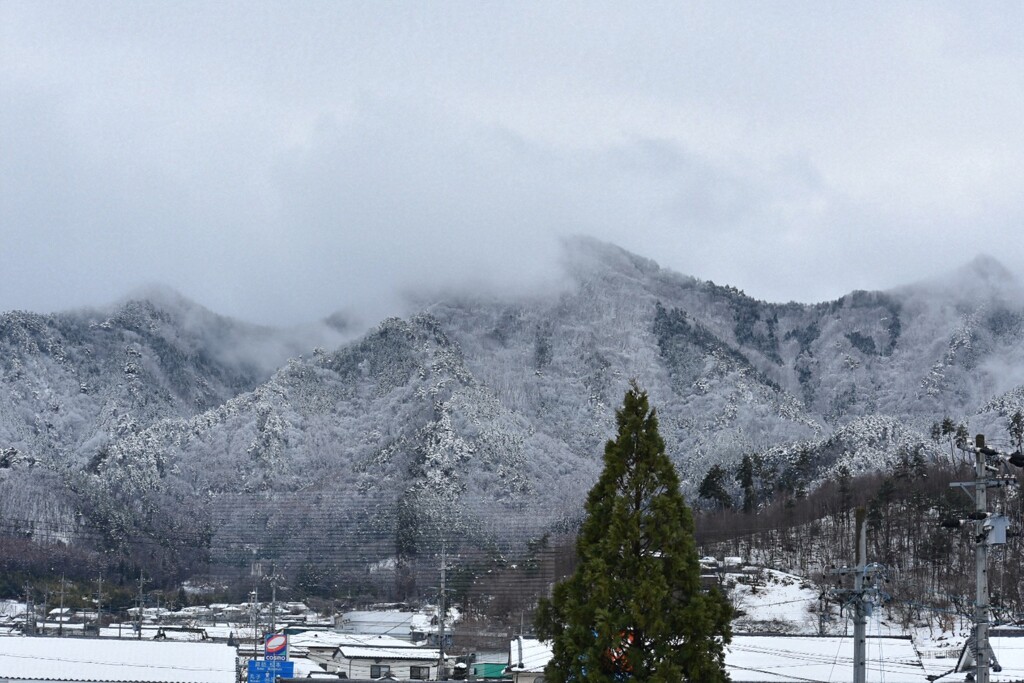 最後の雪
