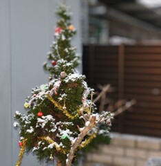 クリスマスツリー