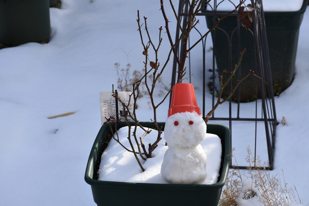 雪だるま