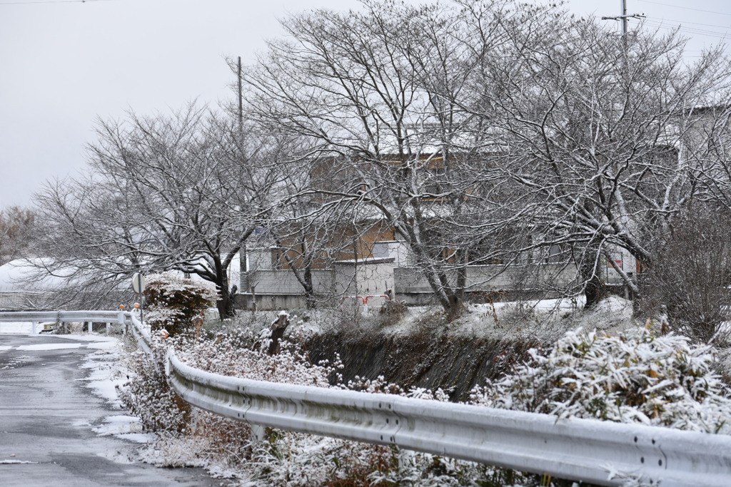 雪の朝