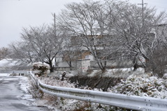 雪の朝