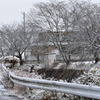 雪の朝