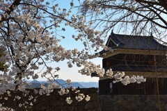 櫓と桜
