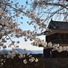 櫓と桜