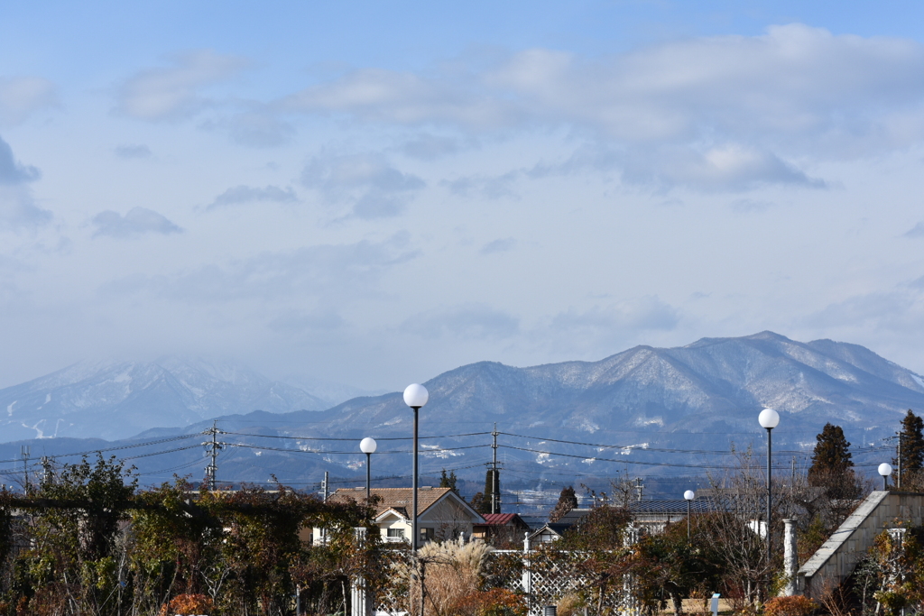 うっすらと雪化粧