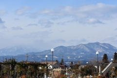 うっすらと雪化粧