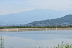 ため池