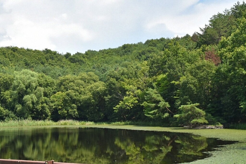 仁古田新池