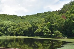仁古田新池