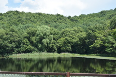 仁古田新池