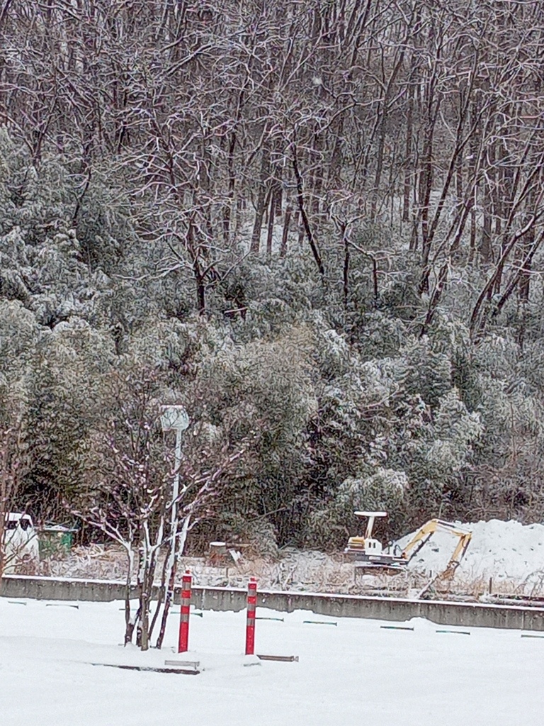 雪景色