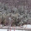雪景色