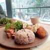ランチプレート