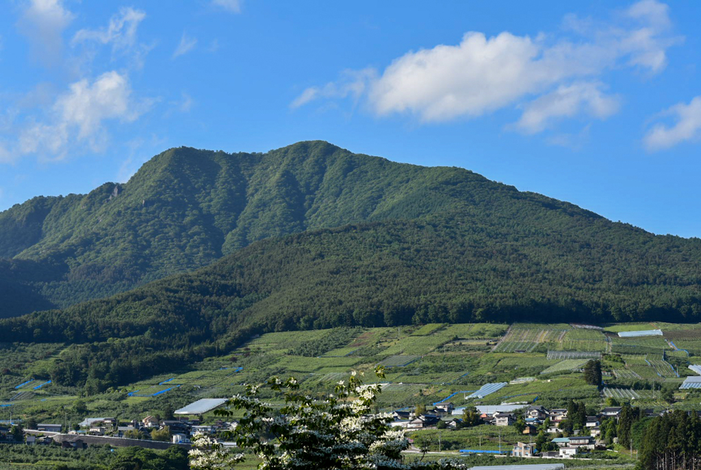 高社山