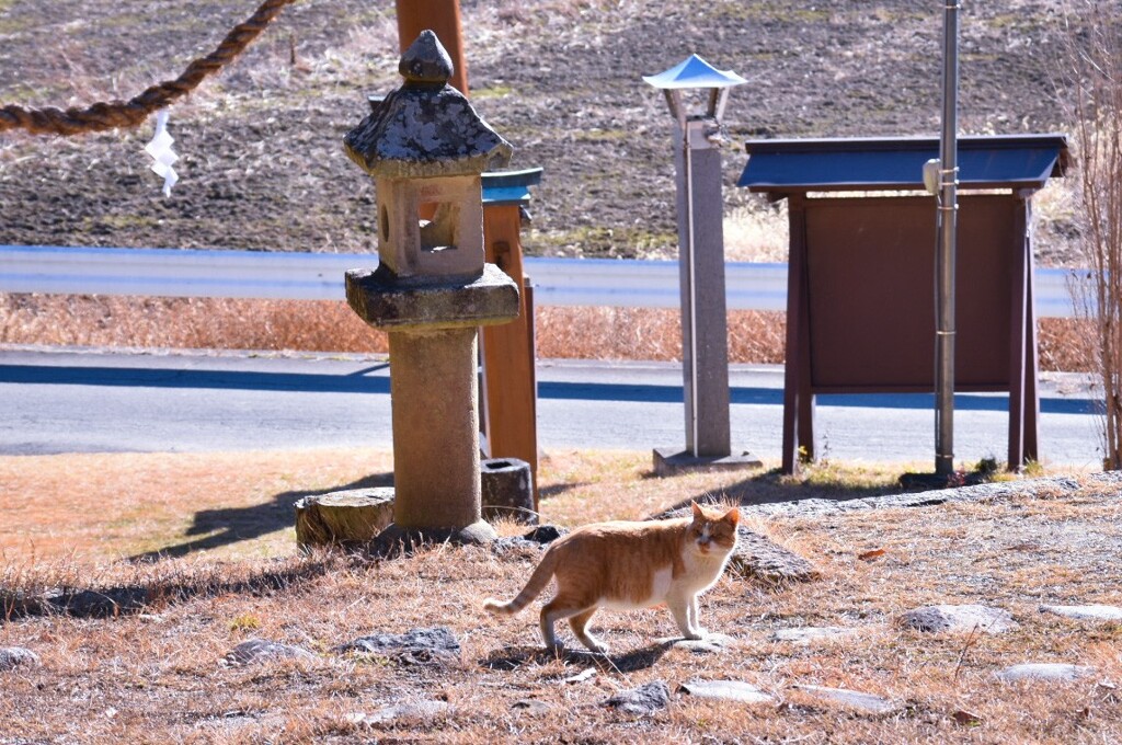 神社で