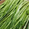 野沢菜