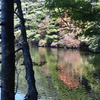 白駒の池