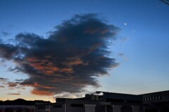 朝の空