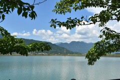 池のほとりから