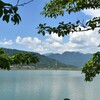 池のほとりから