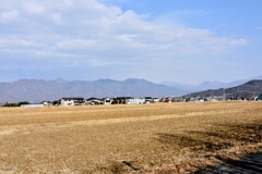 冬の田圃