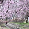 川のほとり