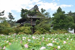 信濃国分寺