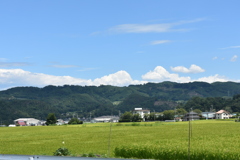夏の空と田圃