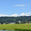 夏の空と田圃