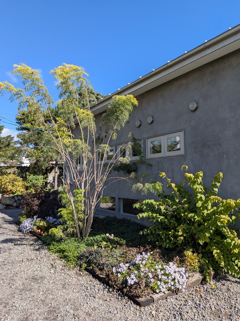 フレンチレストラン