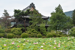 信濃国分寺