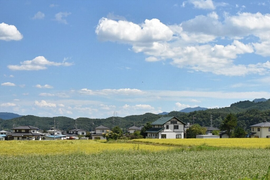 ９月になって
