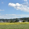 ９月になって