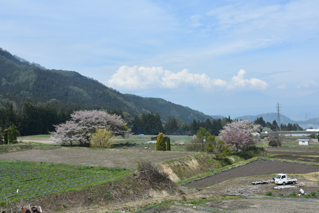 高原に行く道で