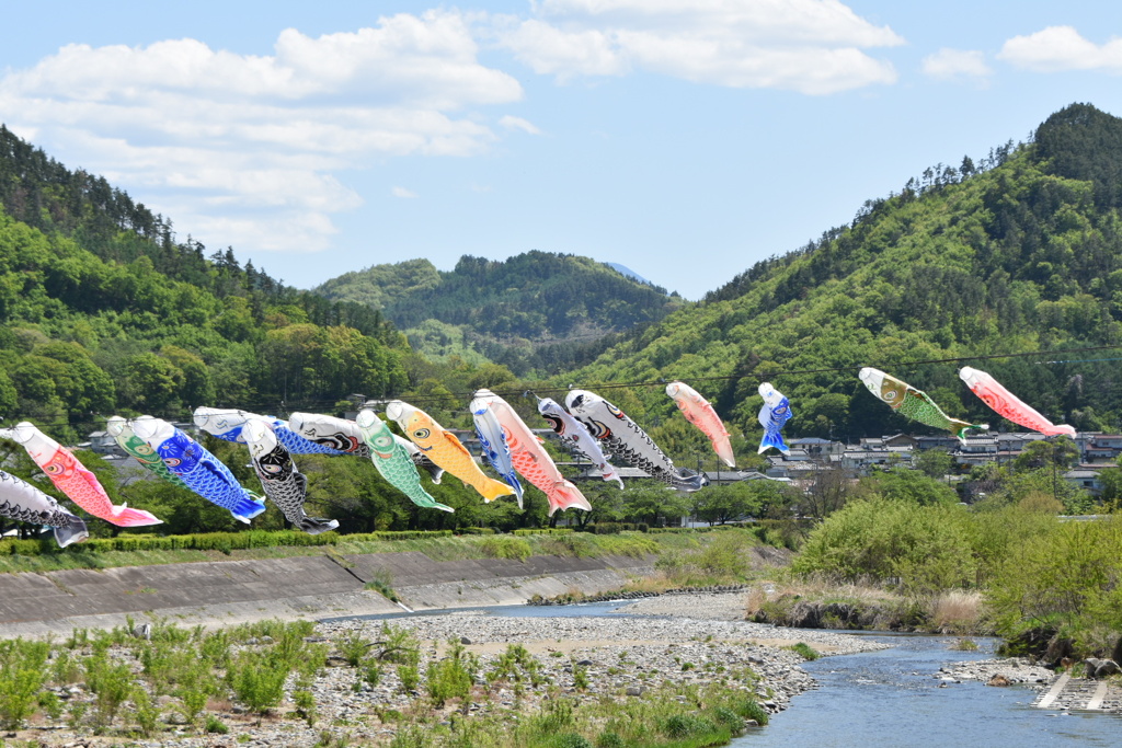 川におよぐ鯉のぼり