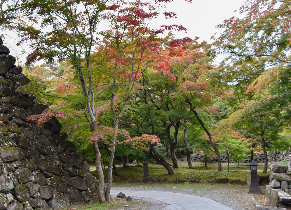 石垣と紅葉
