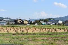 わらぼっち