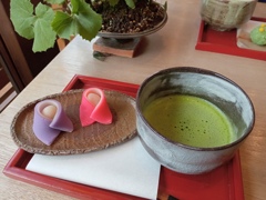 お雛様と抹茶