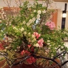 ロビーの花