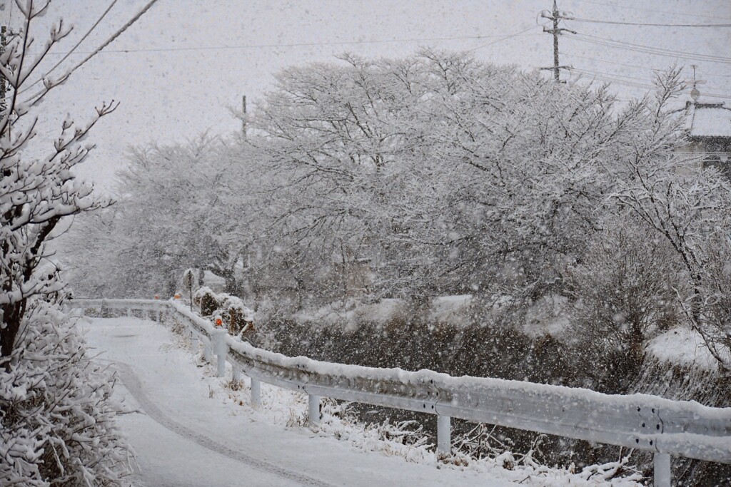 お彼岸の雪