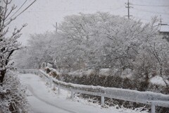 お彼岸の雪