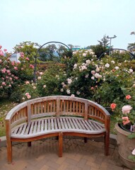 薔薇とベンチ