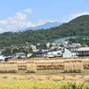 はぜかけ
